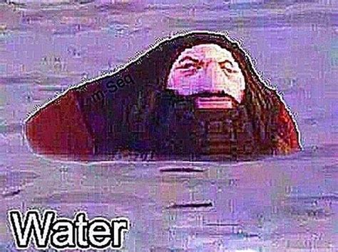 Water Haggord You Dun It Nao Arry Porrer Know Your Meme