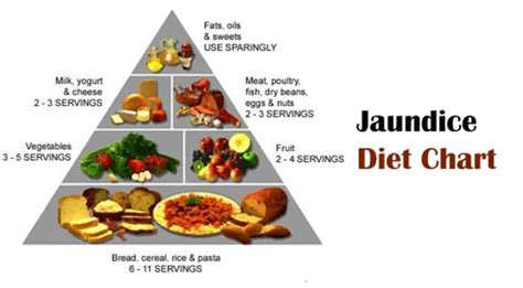 All About Jaundice Diet | Feast