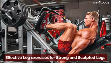 Effective Leg Exercises For Strong And Sculpted Legs