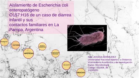 Aislamiento De Escherichia Coli Enteropat Geno O H De Un Caso De