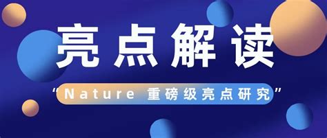 盘点1月份Nature杂志不得不看的重磅级亮点研究 企业动态 丁香通