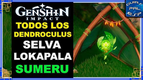 Todos Los Dendroculus Selva Lokapala Sumeru Genshin Impact 3 0