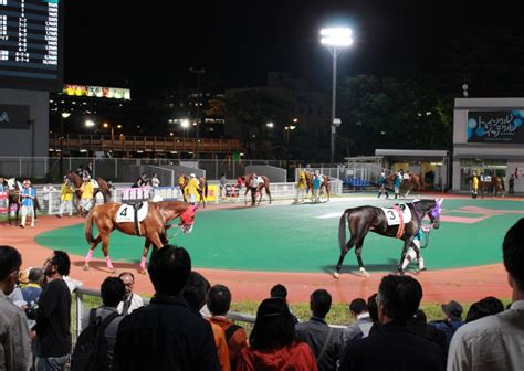 大井競馬場に遊びに行こう！東京シティ競馬ビギナーズガイド しながわ観光協会