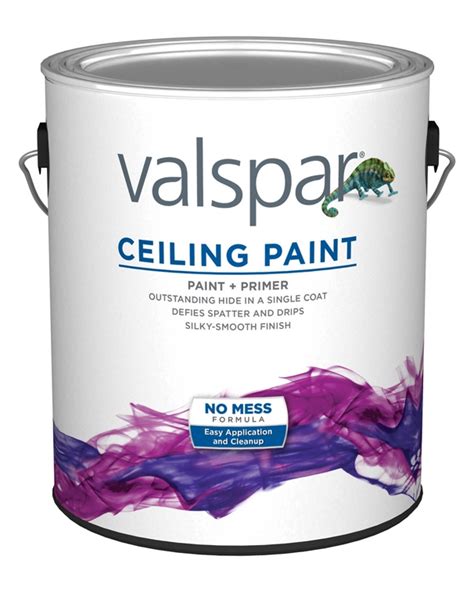 Ceiling Paint & Primer - Valspar® Paint