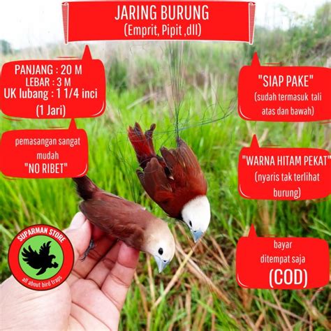 Jual Jaring Burung Pipit Jaring Burung Emprit Jaring Burung Sawah Kecil