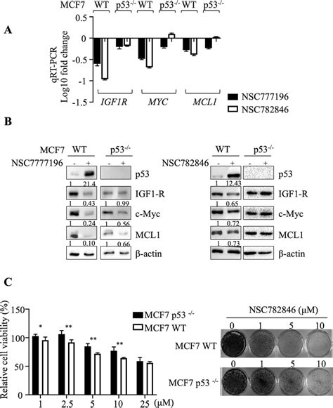 RITA Analogs Repress Transcription Of Oncogenes And Suppress Cancer