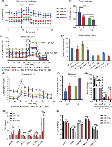 Isg Deficiency Features A Complex Cellular Phenotype That Responds To