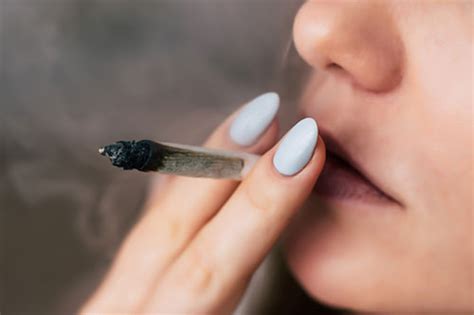 Oral Health Implications Of Cannabis Smoking A Rapid Evidence Review