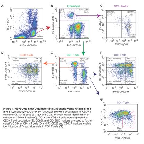 13 Color Flow Cytometry Xeno Diagnostics