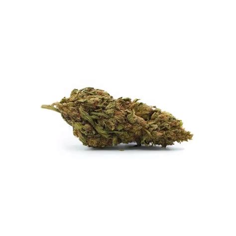 Fleur Lemon Haze Cbd Et Pas Ch Re Cbd Discounter