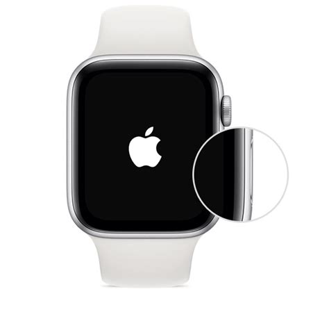 Set Up Your Apple Watch Apple Support