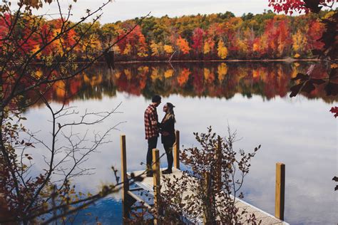 Free Images Tree Water Winter Morning Leaf Flower Lake River