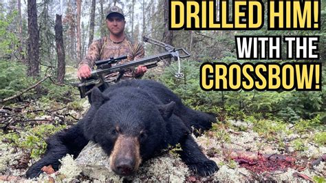 Hunting Black Bears With A Crossbow Manitoba Spring Bear Hunting