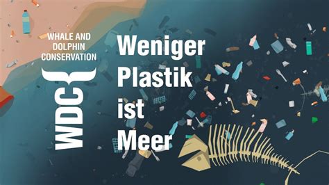 Mehr Plastik Im Meer Als Fische Whale And Dolphin Conservation