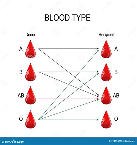 Recipient and Donor. Types of Blood Stock Vector - Illustration of ...