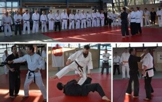 Kyusho Qigong System Lehrgang In Fellbach Homepage Des SV Fellbach Budo