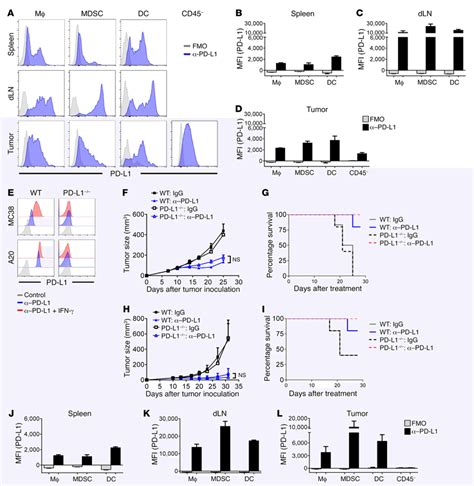 Tumor Expressed Pd L1 Is Dispensable For Responses To Checkpoint