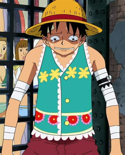 Image - Luffy's Flower Outfit in the Amazon Lily Arc.png - The One Piece Wiki - Manga, Anime ...