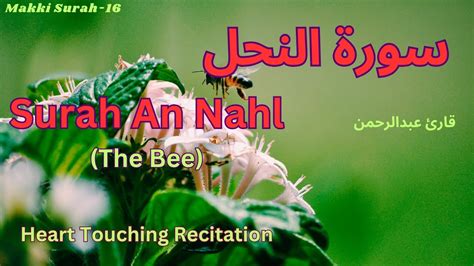 Surah An Nahl The Bee Beautiful Heart Touching Quran Recitation 16 سورة النحل قارئ