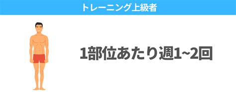 筋トレは週何回がベスト？科学的に正しいトレ頻度を徹底解説 ナイトプロテインplus