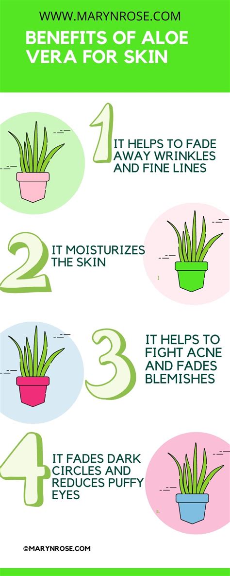 4 Wonderful Benefits Of Aloe Vera For Skin And More Marynrose