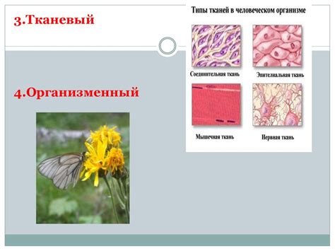 Только самое главное и важное для подготовке к ЕГЭ по биологии ...