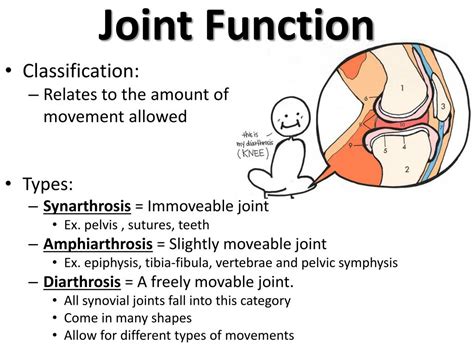 Ppt Joints Powerpoint Presentation Free Download Id 2207087