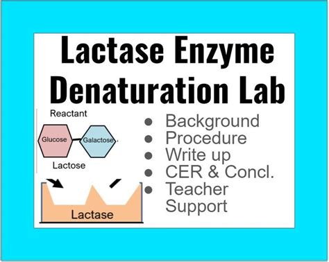 Lactase Enzyme Denaturing Lab Write Up Teacher Support Procedural