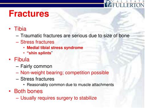 Ppt Ankle And Leg Injuries Powerpoint Presentation Free Download