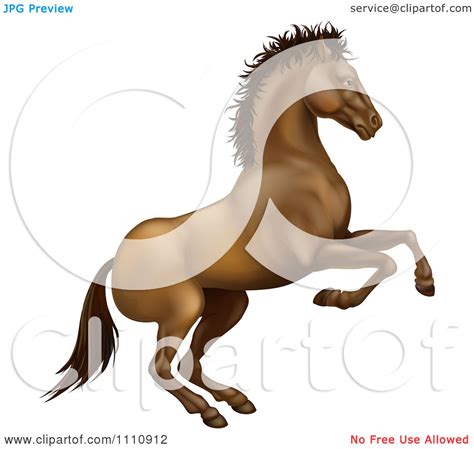 Clipart Rearing Brown Horse Royalty Free Vector Illustration By