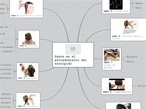 Pasos En El Procedimiento Del Esculpido Mind Map