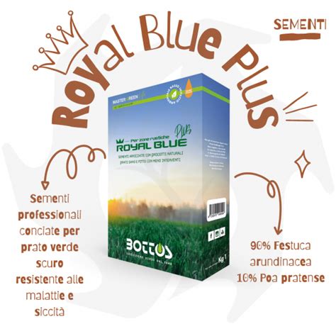 Royal Blue Plus Bottos 1Kg Graines tannées professionnelles pour