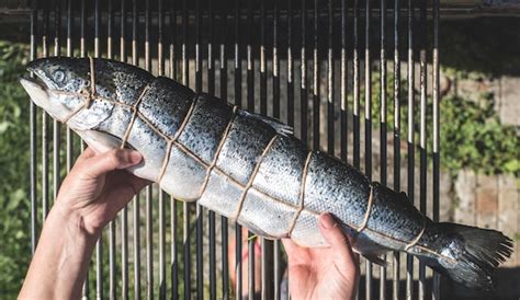 Premium Photo Midsection Of Man Holding Fish
