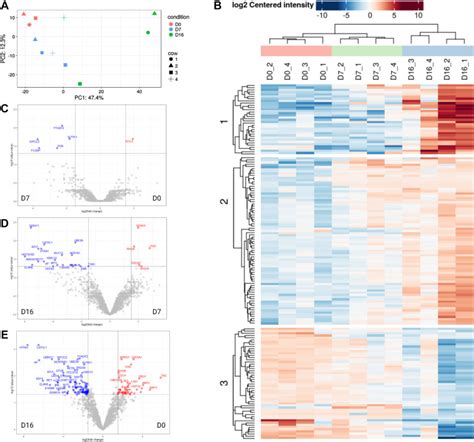 Uterine Fluid Extracellular Vesicles Proteome Is Altered During The