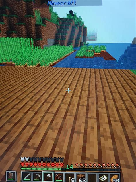 Mobs And Me And Chest Become Invisible💀help Rfeedthebeast