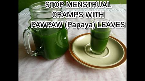 Menstrual Problems Cure Amazing Health Benefits Of Paw Paw Leaves