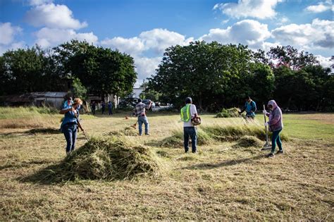 Gobierno de Matamoros trabaja en el rescate de áreas verdes de colonias