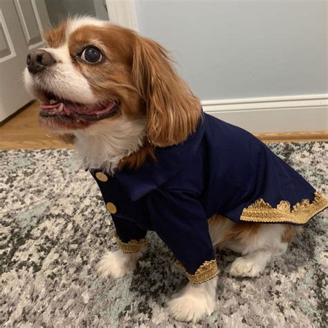 Beauty And The Beast Beast Dog Jacket Prince Dog Costume Beast Dog