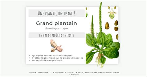 Actualit De Mai Phyto Info