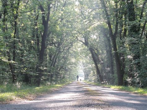 Manoir de Moncé – Urlaub im Perigord