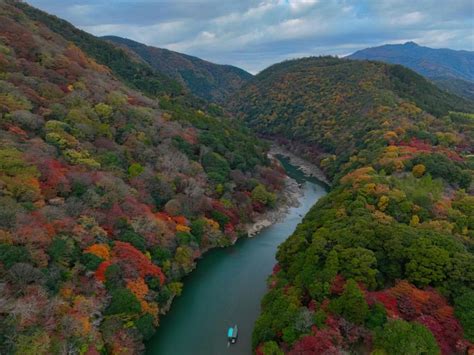 Arashiyama Kyoto Bamboo Forest Monkey Park Secrets Getyourguide