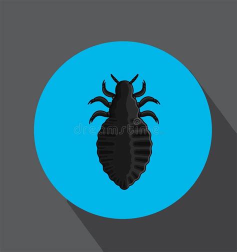 Lice Stock Illustrations 1 204 Lice Stock Illustrations Vectors And Clipart Dreamstime