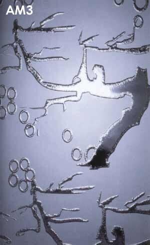 Стекло листовое г. Ташкент