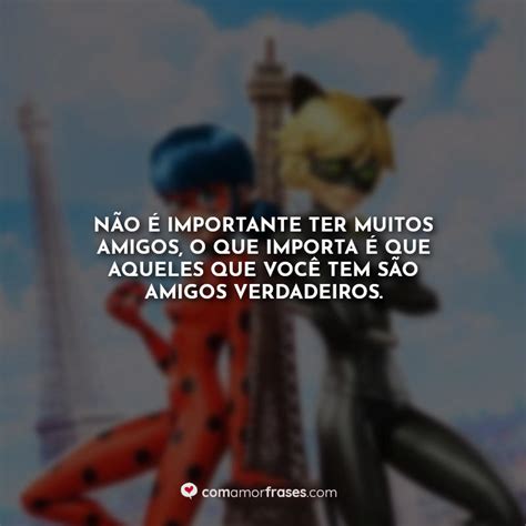 10 Melhores Frases De Miraculous As Aventuras De Ladybug Amor