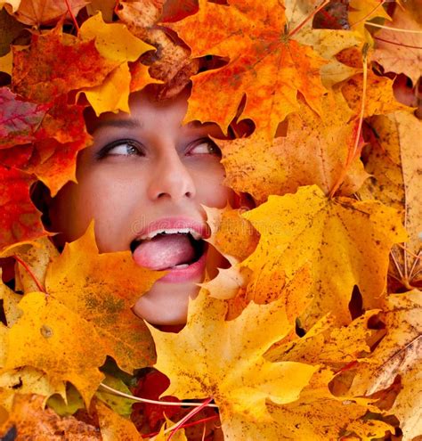 Beauty Portrait Of Beautiful Female Face With Autumn Leaves Stock Image