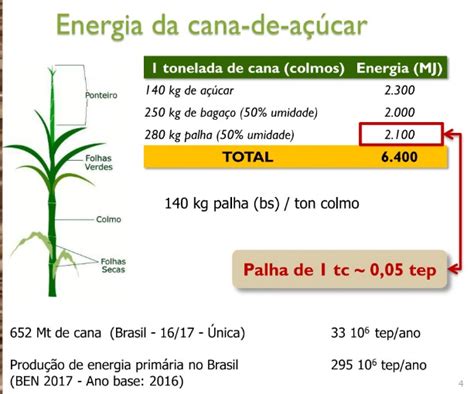 Desafios E Benefícios Do Aproveitamento Da Palha De Cana Em 16 Slides • Jornalcana