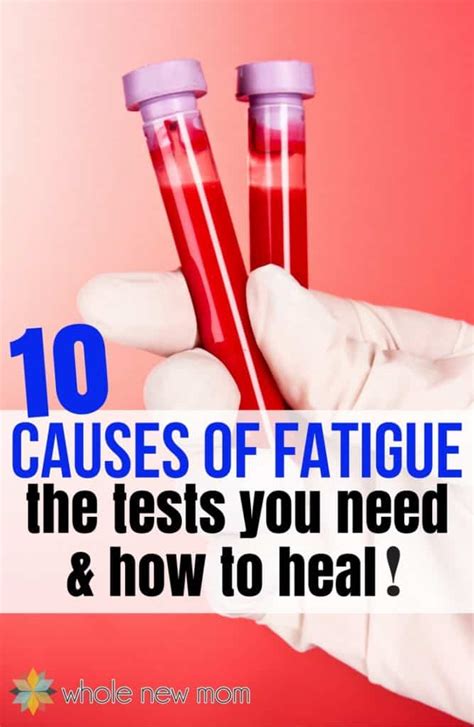 10 Causes of Fatigue, Tests You Need & How to Heal | Whole New Mom