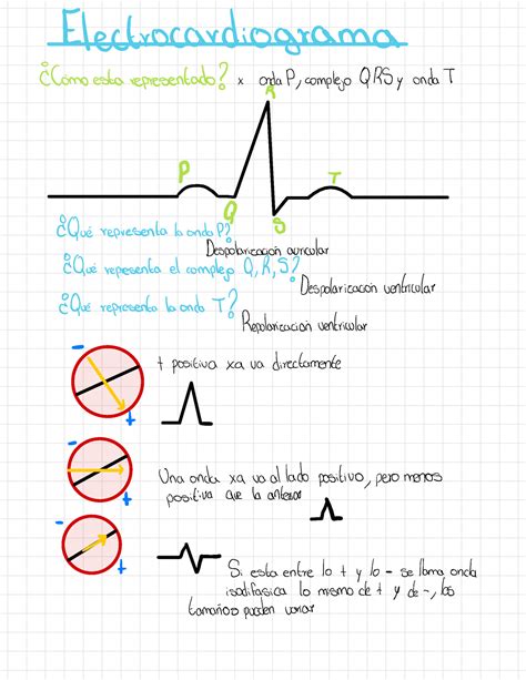 Electrocardiograma Electrocardiograma O Cc Mo Esta Representado