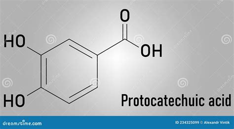 Protocatechuic Acid Pca Green Tea Antioxidant Molecule Skeletal Formula Stock Vector