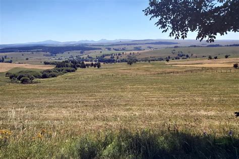 Cézallier découverte du plateau du Cézallier